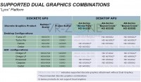 AMD_Lynx_Platform